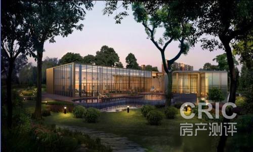 白桦林间.jpg