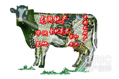 图2副本副本.jpg