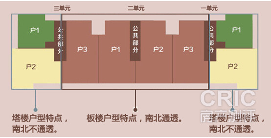 碧桂园的【大户人家】