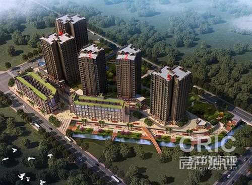 金房大榕湾规划.jpg