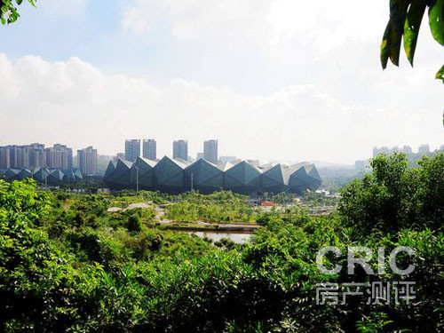 大运公园.jpg